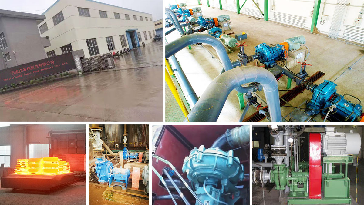 Shijiazhuang Suger Pump Industry Co., Ltd.