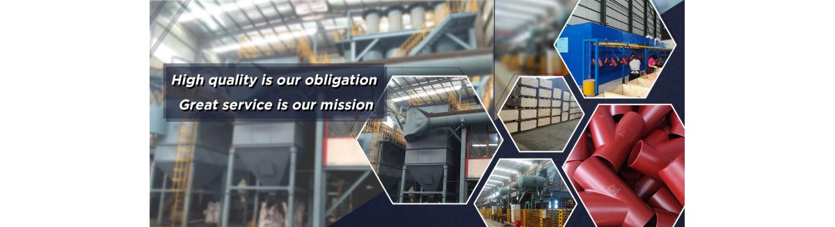 Shijiazhuang Beisai Trade Co., Ltd.