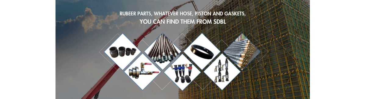 Hebei Shengdebaolong International Trading Co., Ltd.
