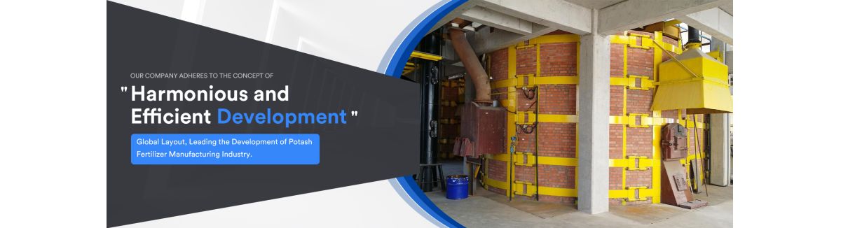Hebei Dongding Chemical Trade Co., Ltd.