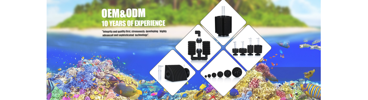 Hebei Long Zhuo Trade Co., Ltd.